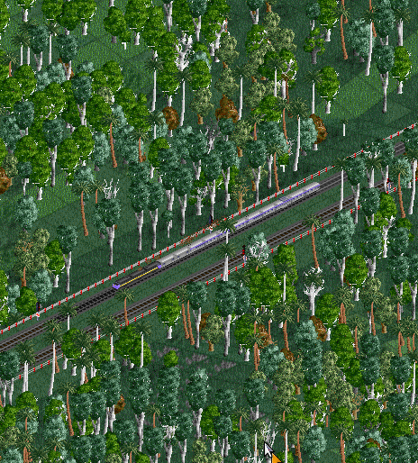 The typical image of Trainforest in the Golden Age: 3 Alco PAs speed through the rainforest with a luxurious intercity train.