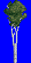 tree.png