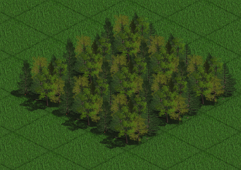 forest.jpg