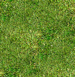 seamlessgrass.jpg