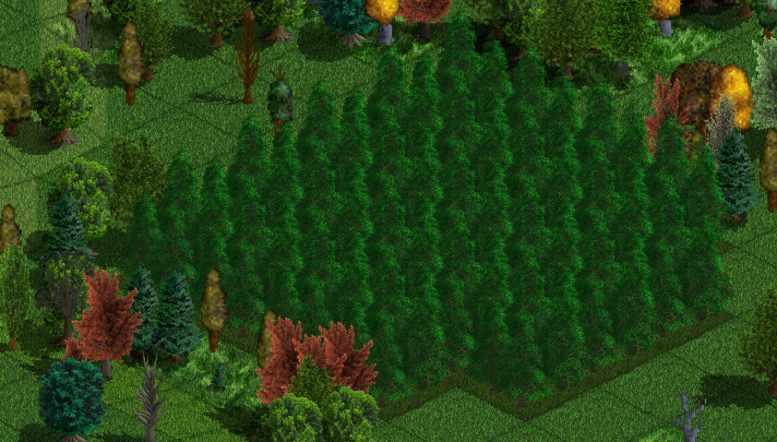 forest.png