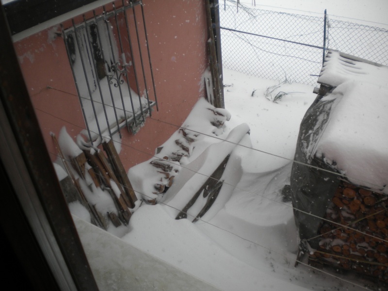 DSCN0811.JPG
