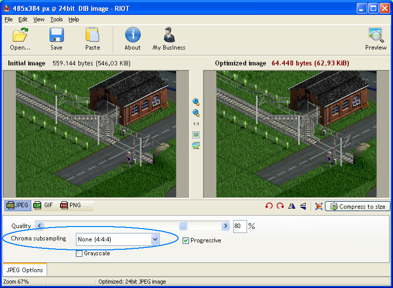 Screenshot of Irfanview. The circle shows the option to turn off the colour subsampling.