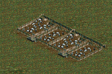 Corral.png