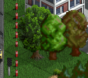 Various overlapping tree shadows with low opacity.
