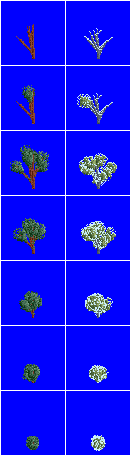 ProcTrees1.png