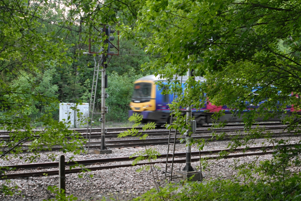 Similar photo again but less zoomed in - I didn't want to get too close.<br />It's still difficult to make out the wire on the fence as it's quite thin but you can make out some 'stakes' in the ground in-front of the signal.