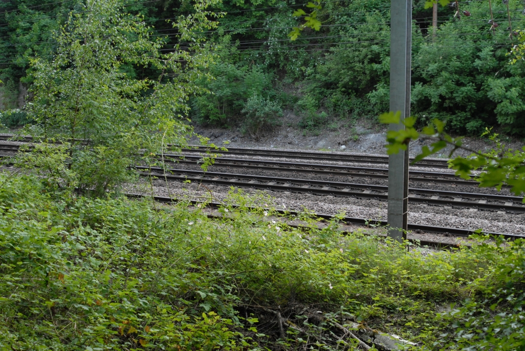 Final 3rd photo - You can't even see the fence on this one since the bank on the side is pretty much as high as it. <br />It is still really puzzling since I've never seen such poor fencing (if you can call it that).