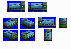wine carrier.png