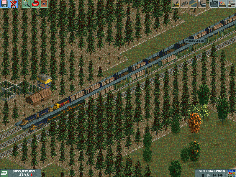 Trains waiting at the forest for lumber.