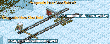 WP_arctic bug.png
