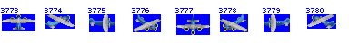 5at rev.2
