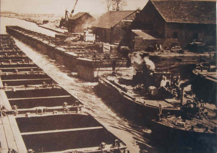 TomPuddingsatStanleyFerry.jpg