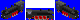 Br_10.PNG