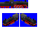 Br_01.PNG
