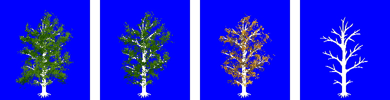 tree_01.png