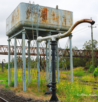 Water Column