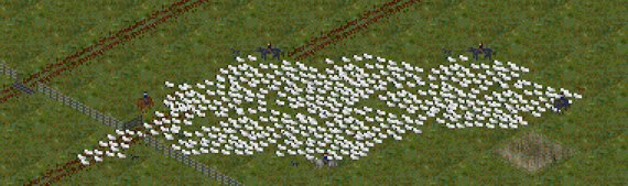 sheep muster.png