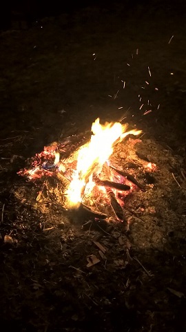 Burning of a Christmas oak