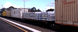 Articulated Container Wagons.png