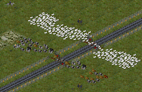 Livestock Crossing.png