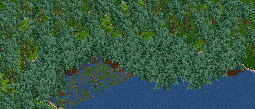 Mangroves Trees-3.png