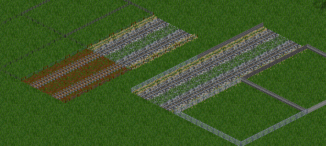 Tracks and Fences-1.png