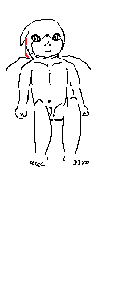 a. ON CHAIR SIT refined 3 body shown joke over version .png