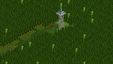 Pine Forest and watch tower.png
