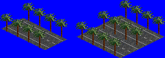 Palm Trees3.png