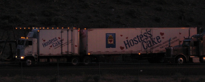Hostess-Dromedary-Crop.jpg