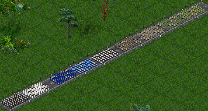 Military on Parade.png