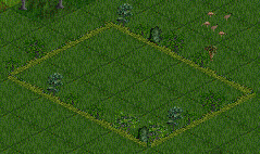 HedgeFences2.png