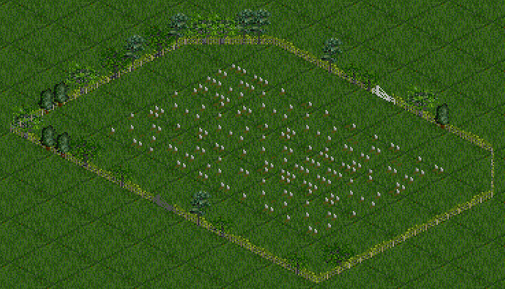 HedgeFences3.png