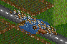 cattle in a puddle.png