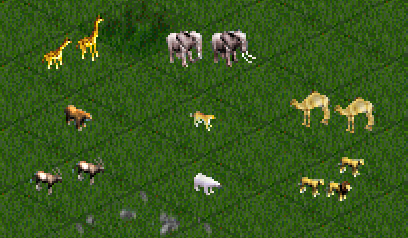 Animals.png