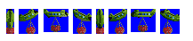 Chinnok with bladders