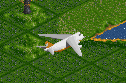 124_planeset1.PNG