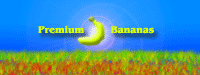 banana_transport.png