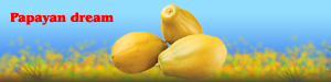 papayasarecool.png