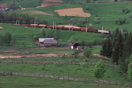 wood-chips.jpg