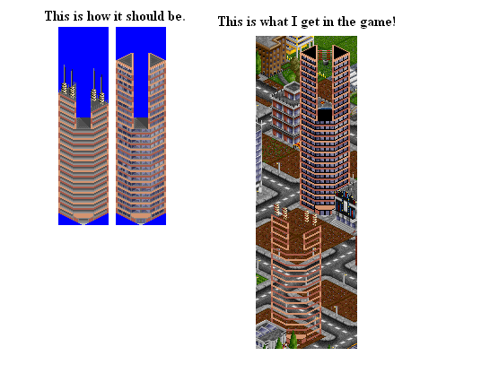 What The (...).png