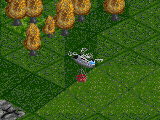 Chinook Flashing Cargo.png