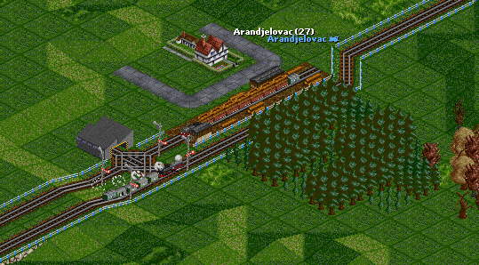 Passenger lines connect Beograd and Kragujevac, and freight line connects Arandjelovac forest with Kraljevo sawmill. That's reason why Arandjelovac is main point in network. Only two-tracks part is from Arandjelovac to Kragujevac (for now).