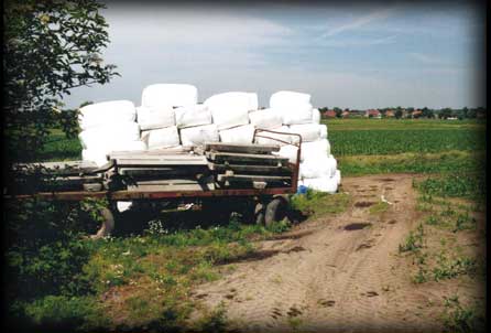 round bales of hay