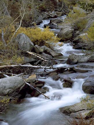 Rte_168_waterfall_-_thumb.jpg