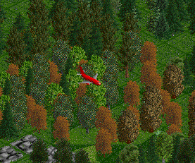 Into those woods only plane and helicopter can reach! Hope that it wont crash there :P