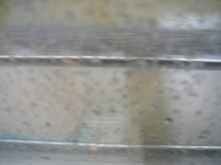 flood.jpg