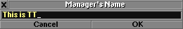 Manager name (also used for signs and renaming towns/stations)