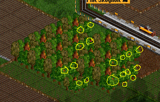 red dots.png